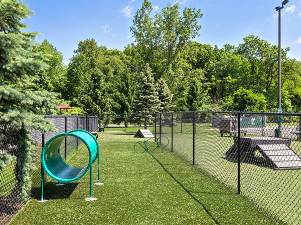 pet park with agility equipment